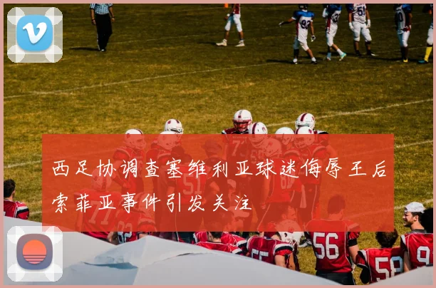西足协调查塞维利亚球迷侮辱王后索菲亚事件引发关注