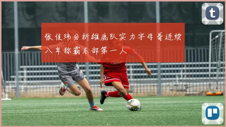 张佳玮分析雄鹿队实力字母哥连续八年称霸东部第一人