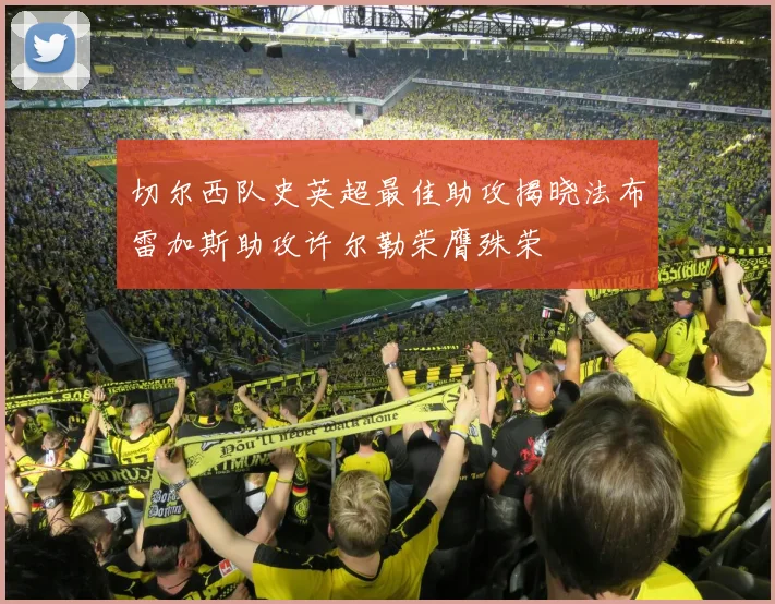切尔西队史英超最佳助攻揭晓法布雷加斯助攻许尔勒荣膺殊荣