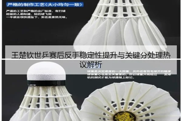 王楚钦世乒赛后反手稳定性提升与关键分处理热议解析